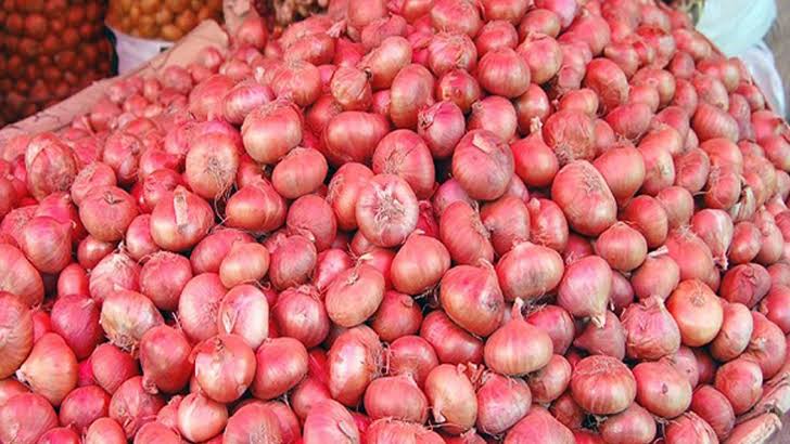 Tariff Commission recommends import of onions to control prices
