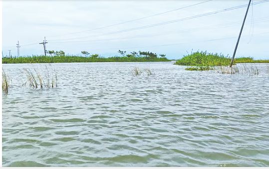 এবার হাওরে বিশ্ববিদ্যালয়হাওরে সুনামগঞ্জ বিজ্ঞান ও প্রযুক্তি বিশ্ববিদ্যালয় করা নিয়ে সমালোচনা