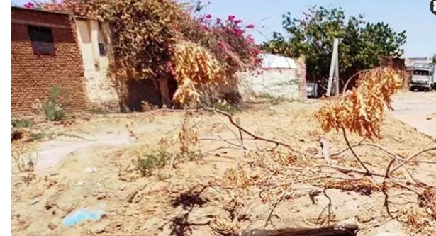 ড্রোন হামলায় সুদানে নিহত ৬০