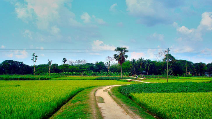 প্রতিদিন ১৭ মিনিট বাইরে থাকুন