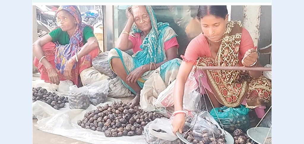 খাল-বিলের শালুকে চলে সংসার